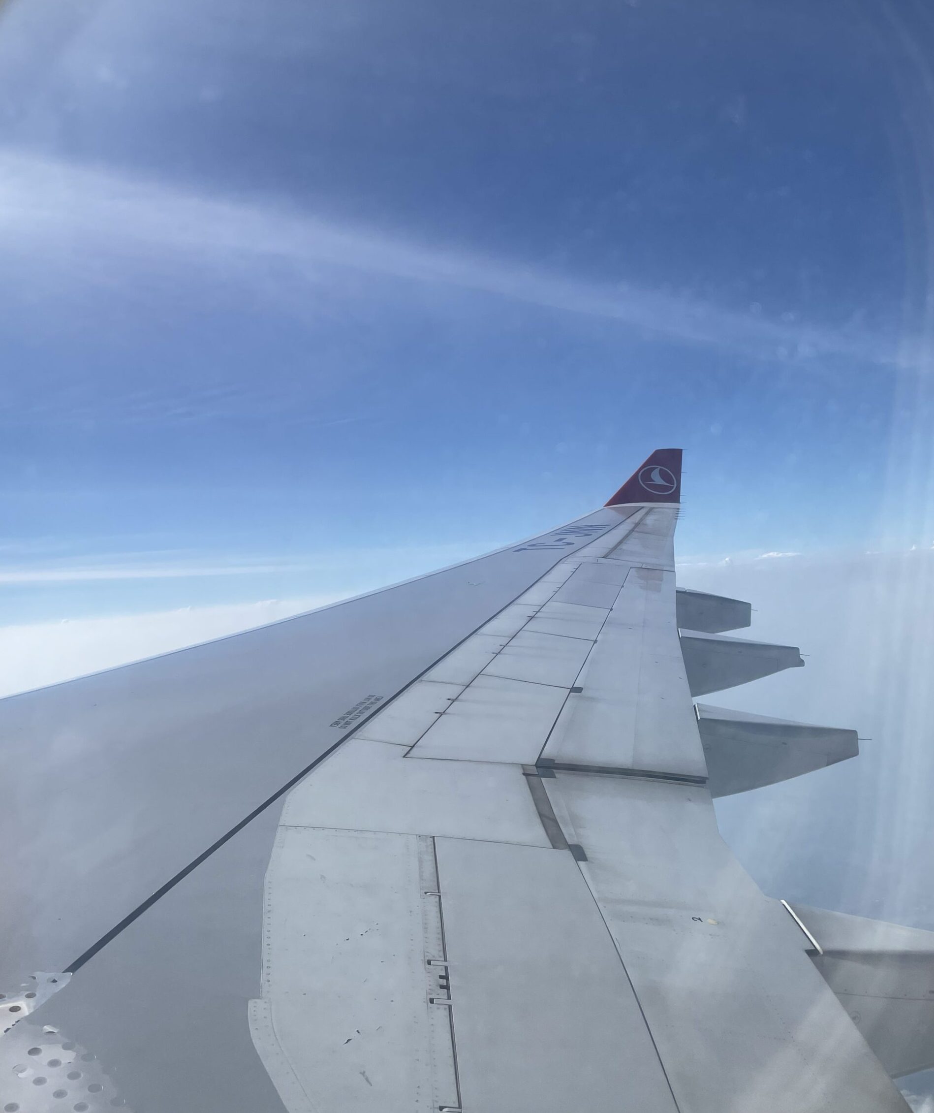 Turkish Airlines in the sky