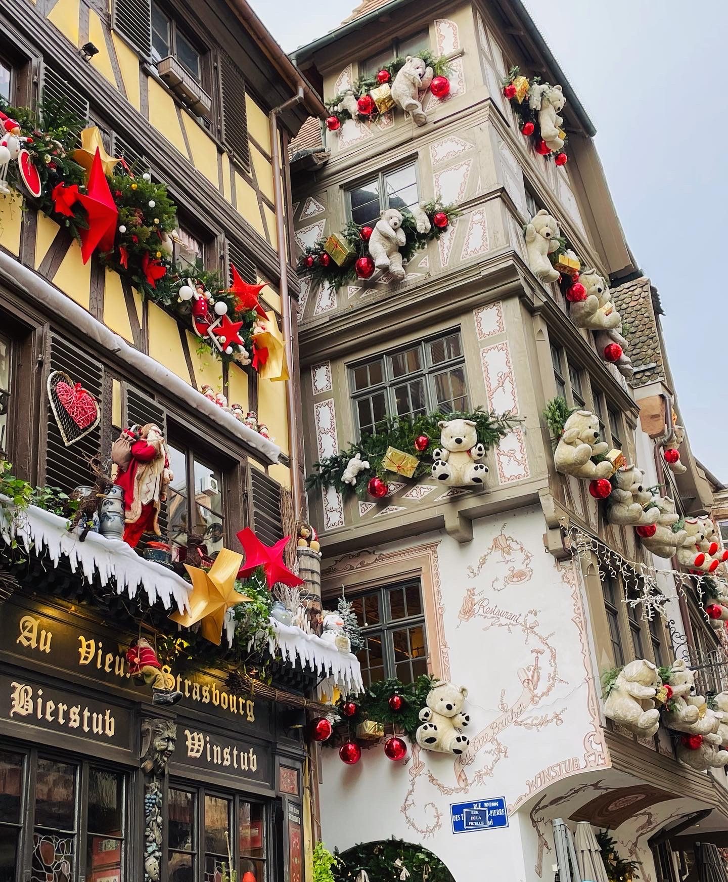 Teddy bear house Strasbourg