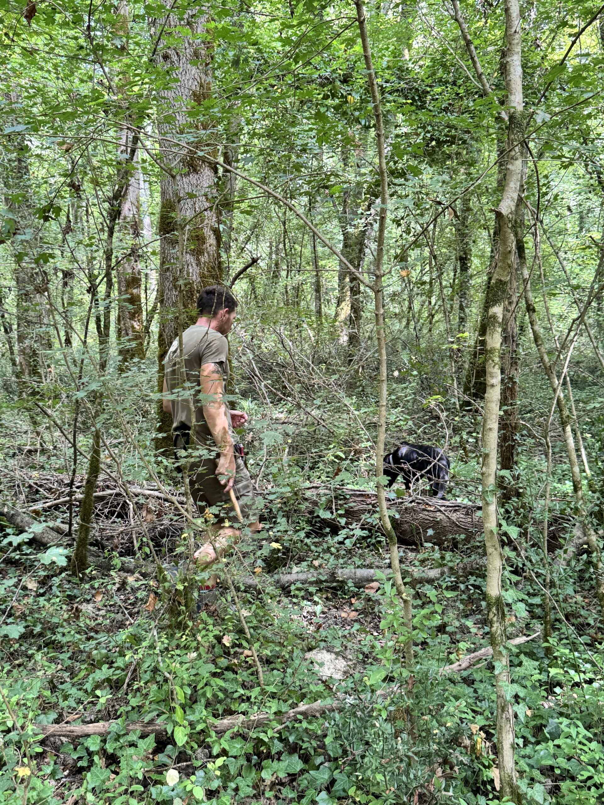 truffle hunt Istria