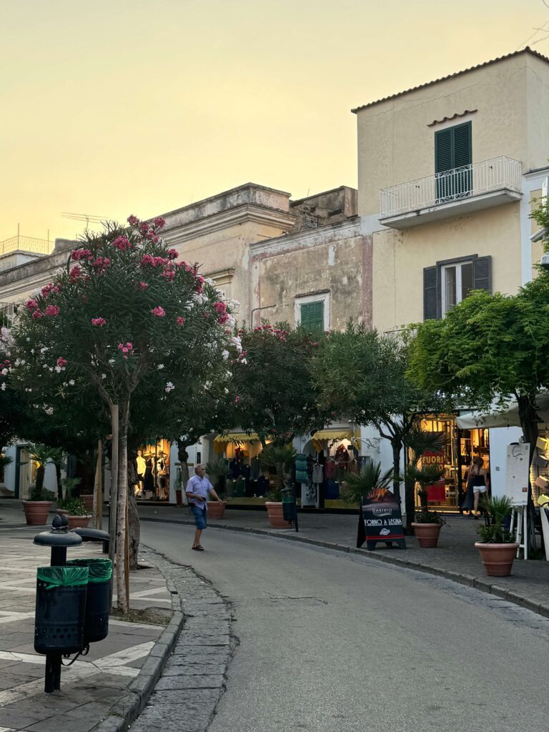 Ischia Porto town