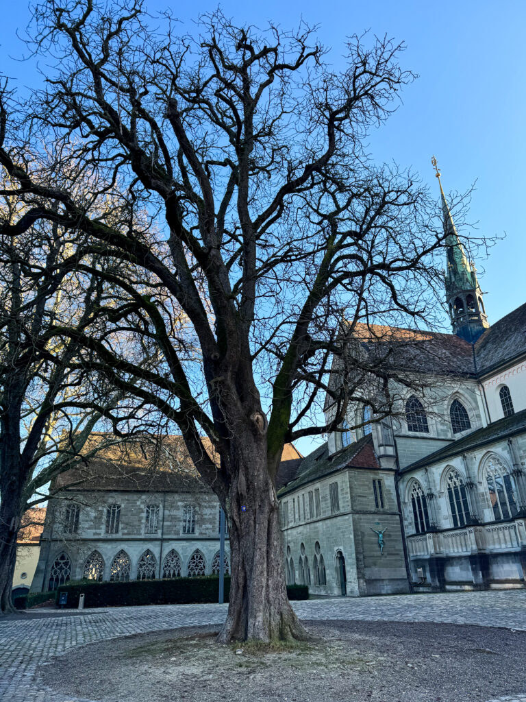 Konstanz Cathedral