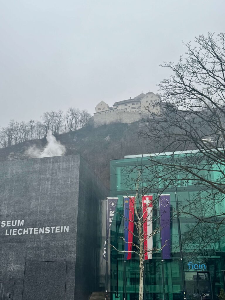 Vaduz Castle view from bellow