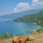Trpejca beach