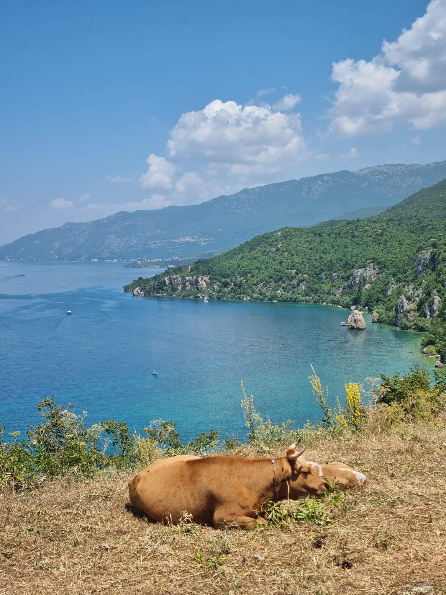 Trpejca beach