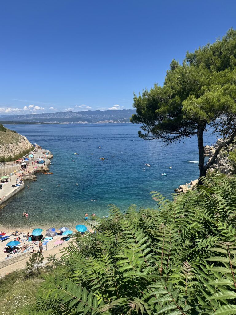 Zgribnica Beach