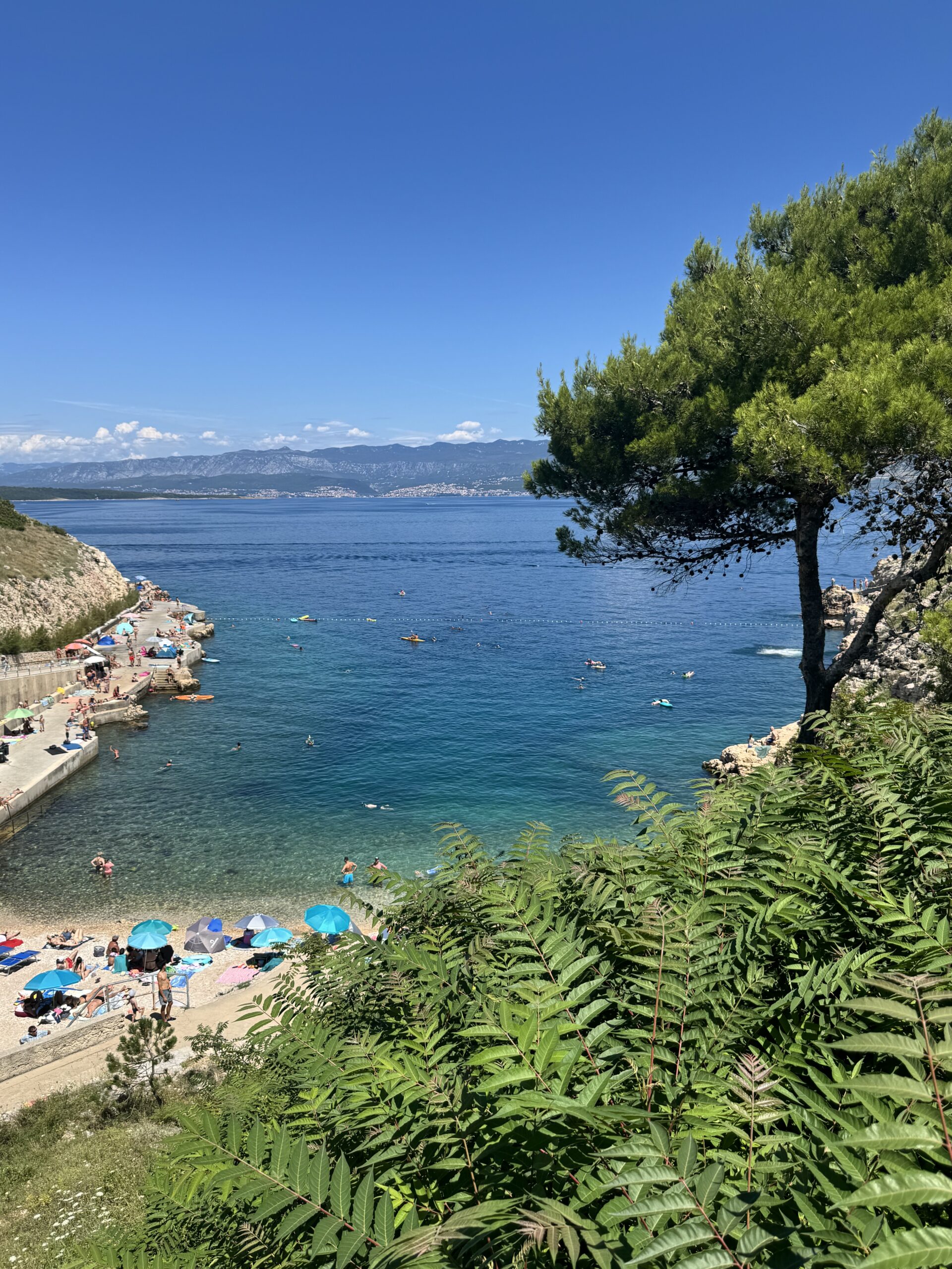 Zgribnica Beach