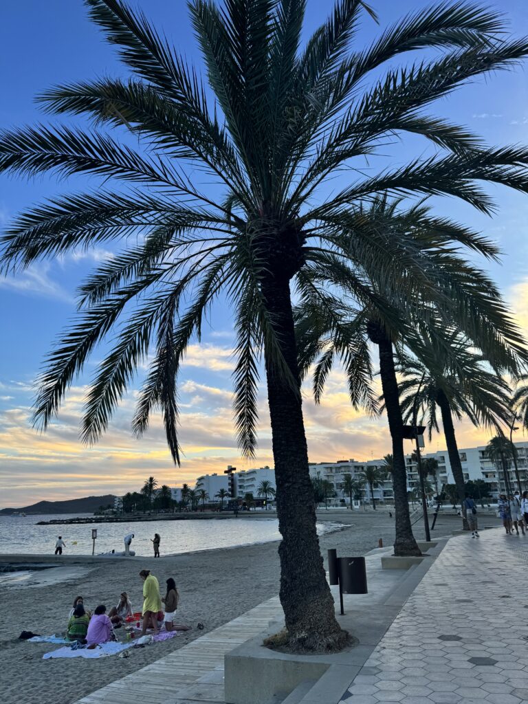 Ibiza Town coast