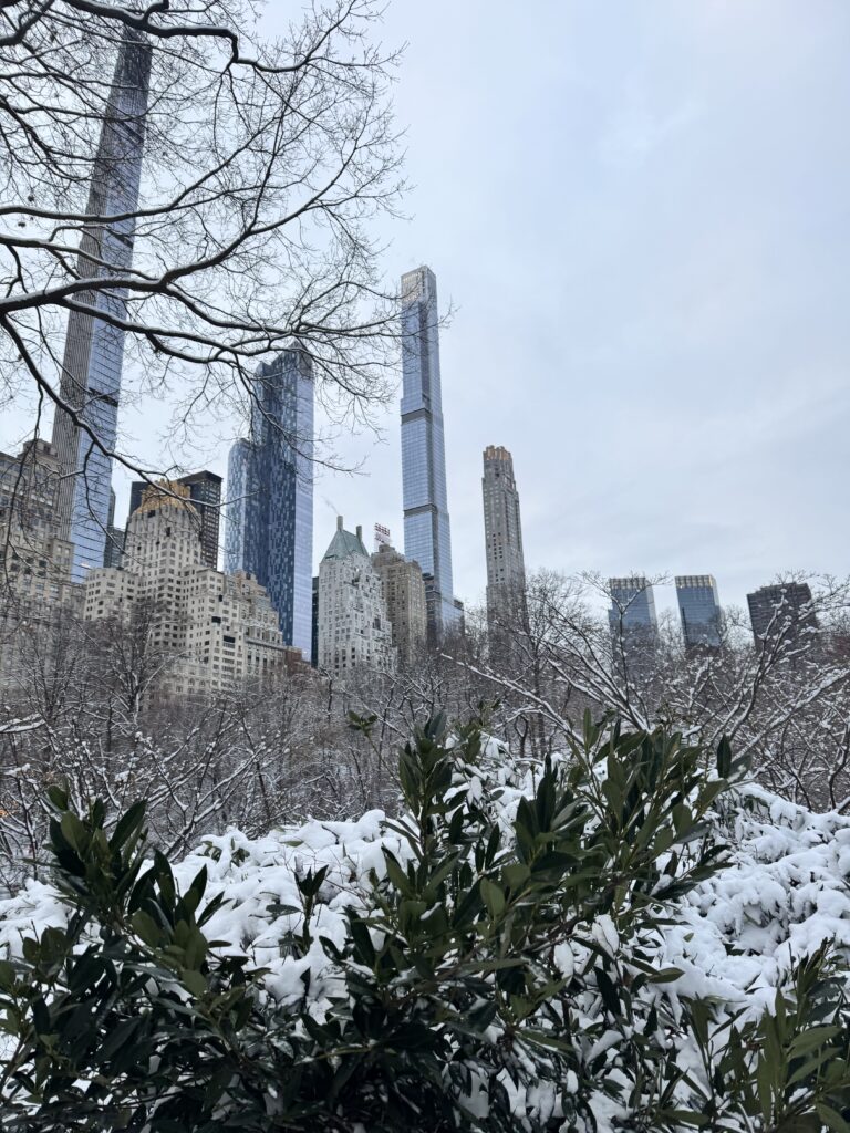 Central Park winter