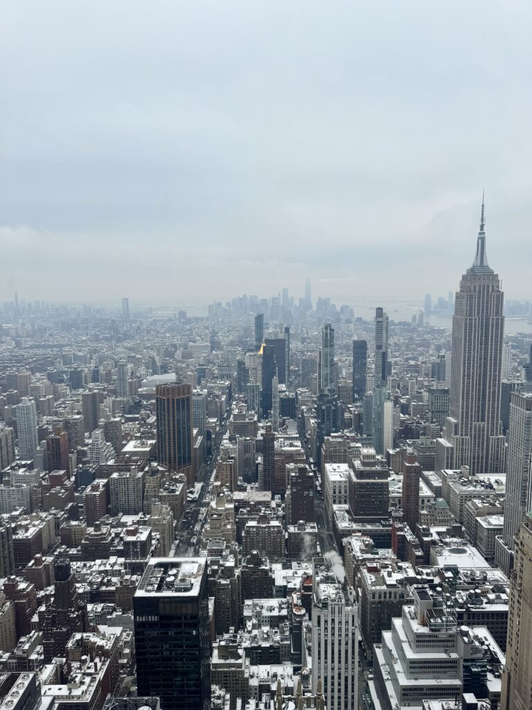 New York City View from the Summit
