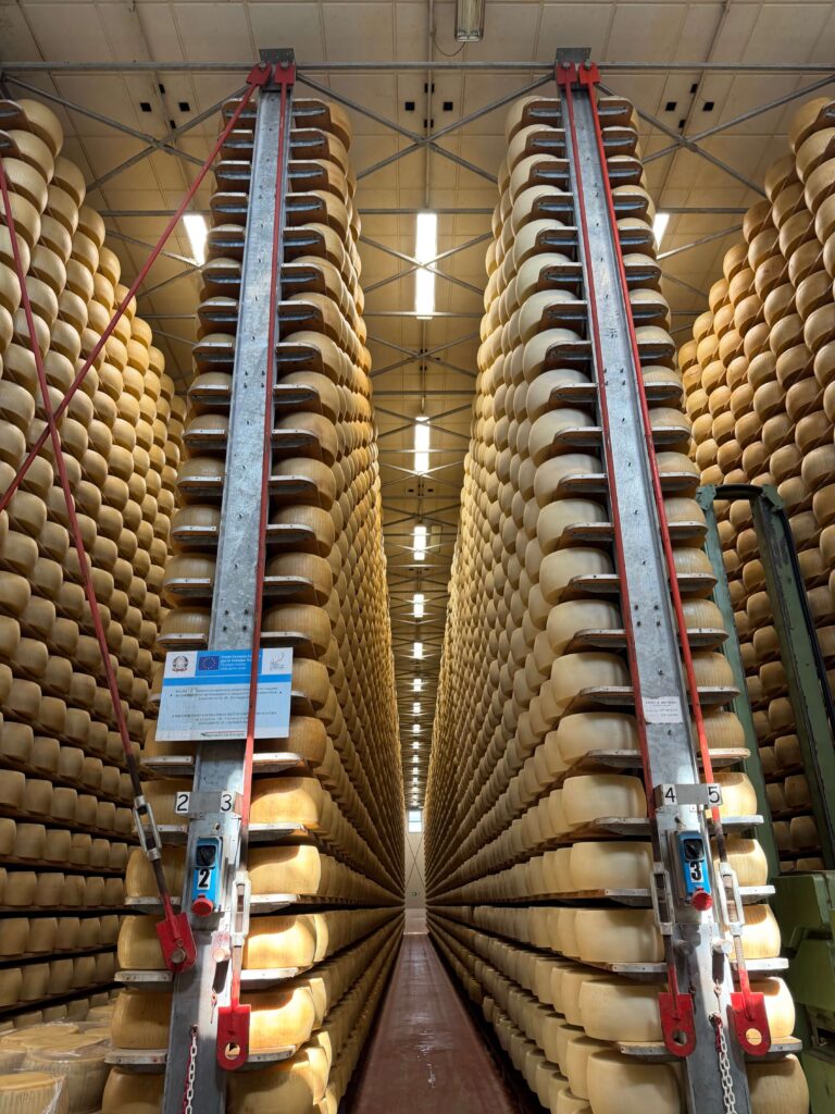 Parmesan aging storage