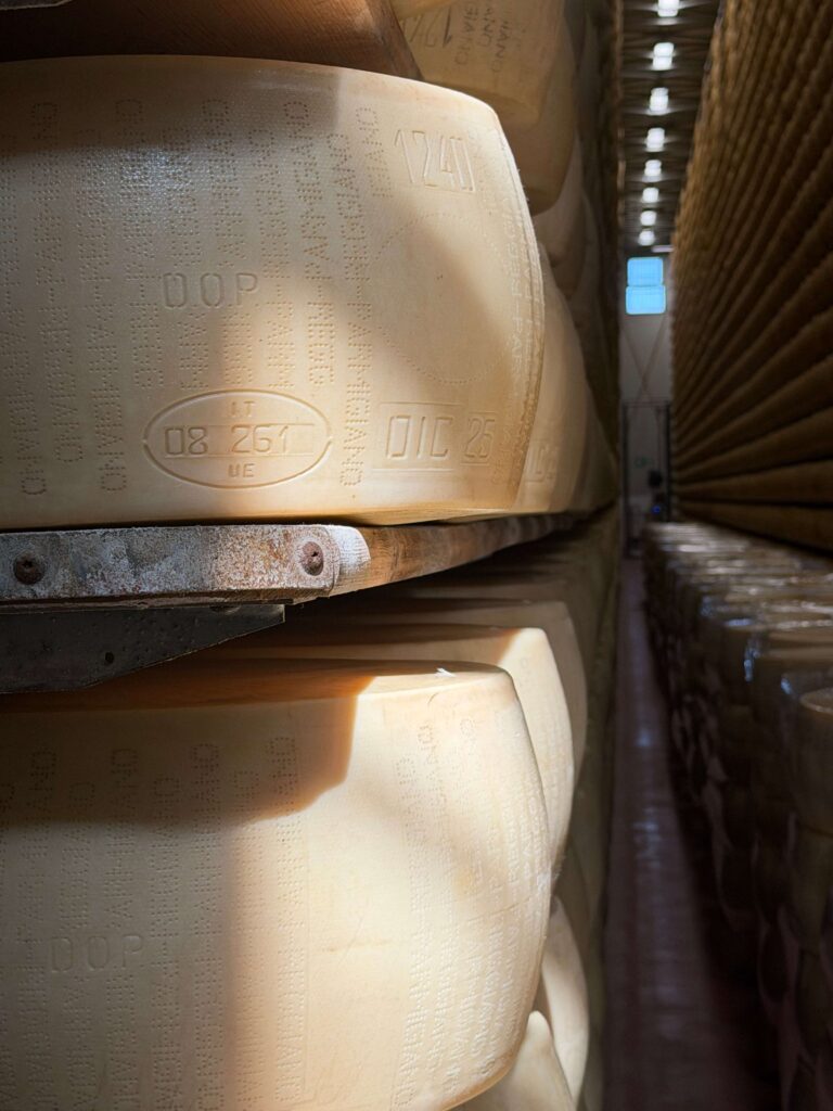 Parmesan aging