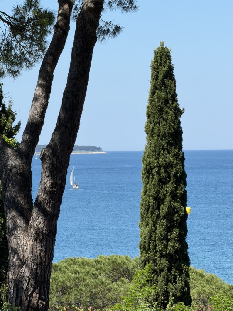 Portoroz sea view