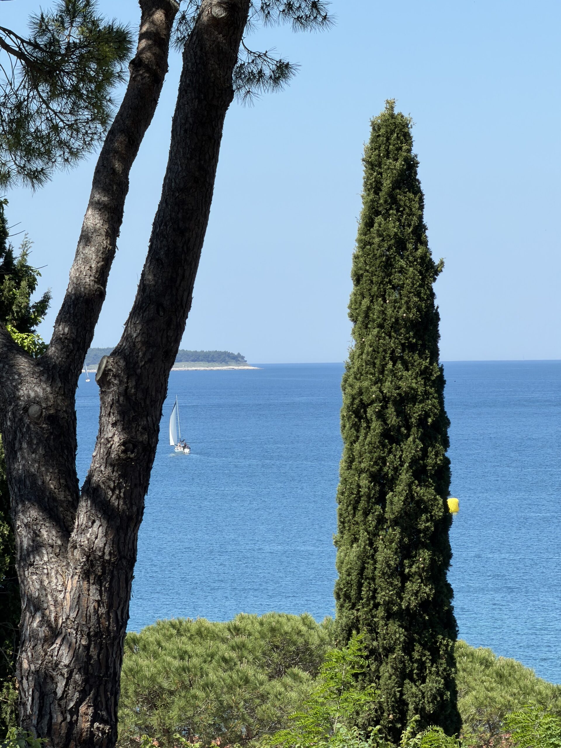 Portoroz sea view