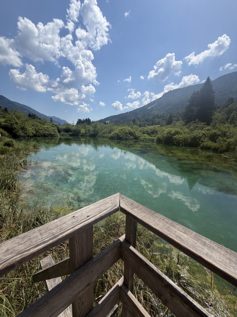 Zelenci
