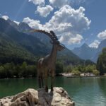 Lake Jasna Ibex