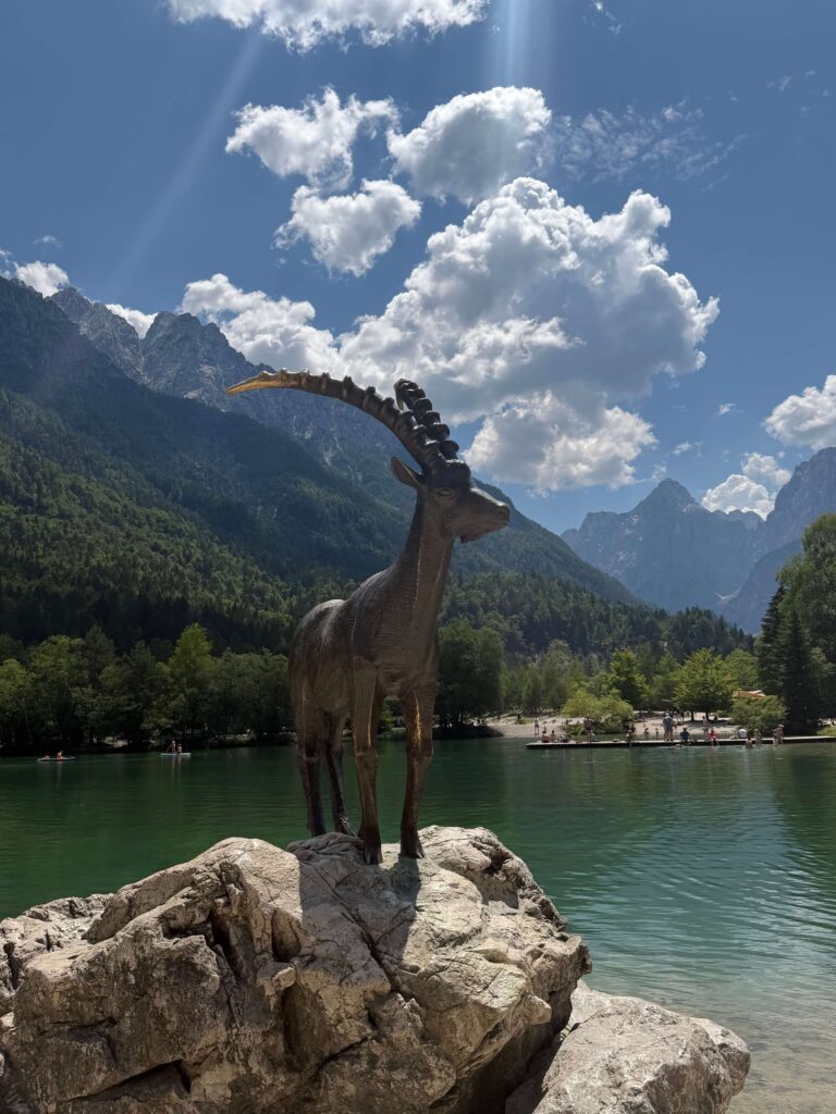 Lake Jasna Ibex
