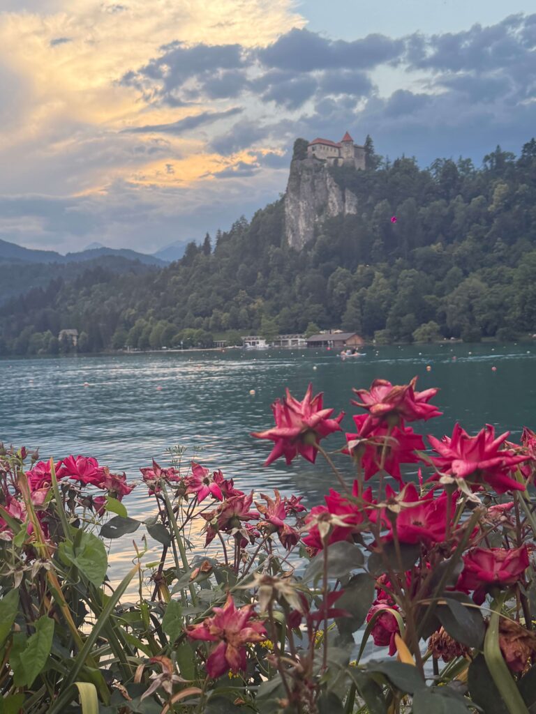 Bled lake views