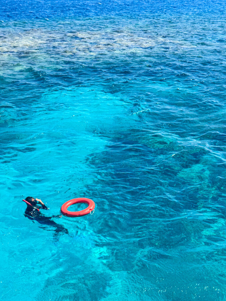 Egypt Red Sea swim