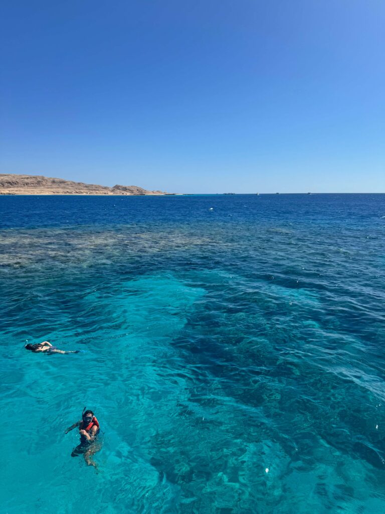 snorkeling Orange Bay Hurghada