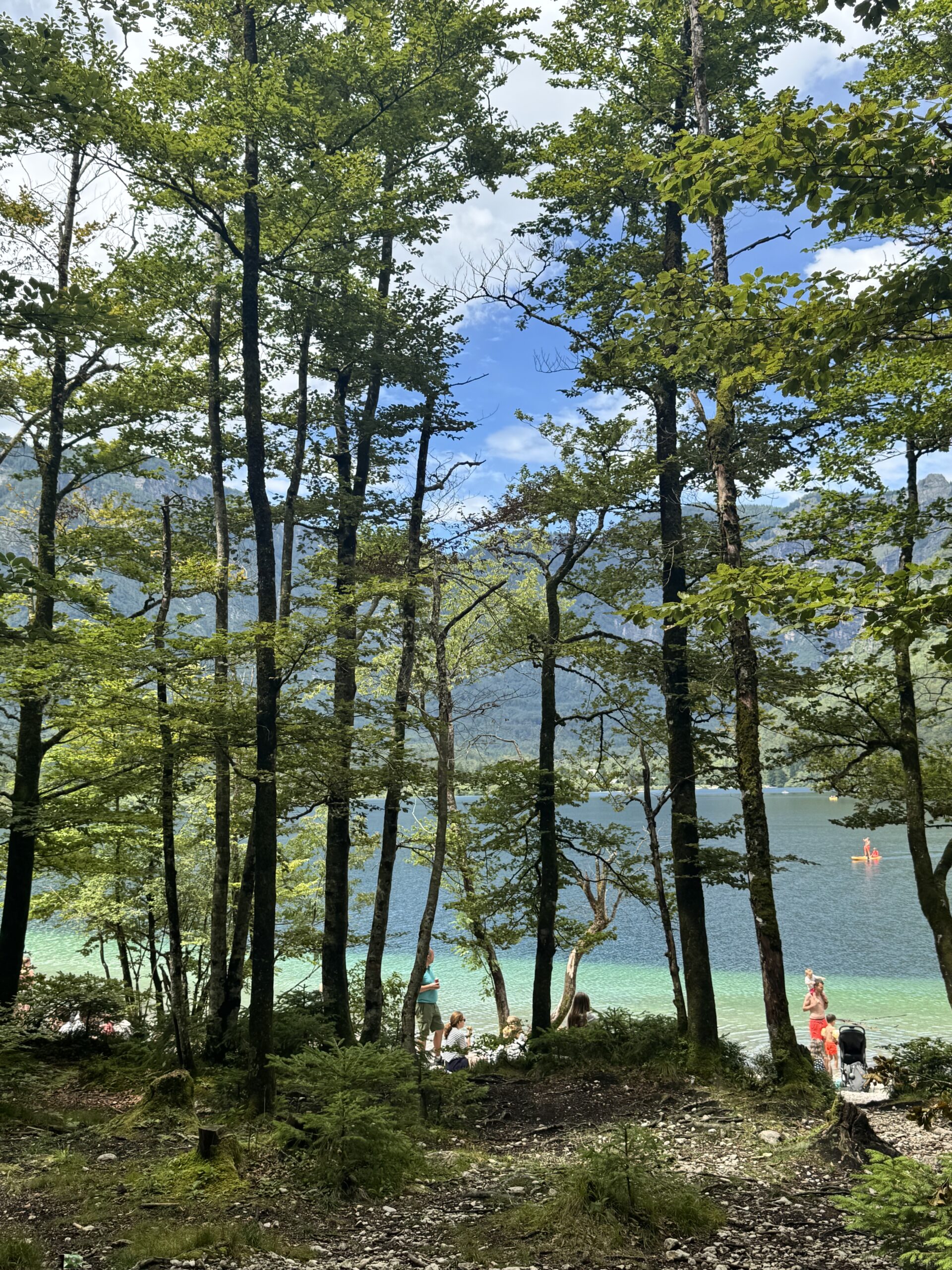 Lake Bohinj views
