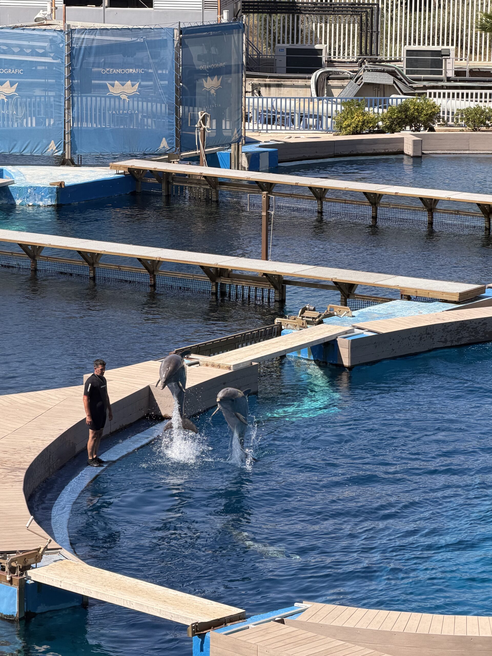 Oceanogràfic