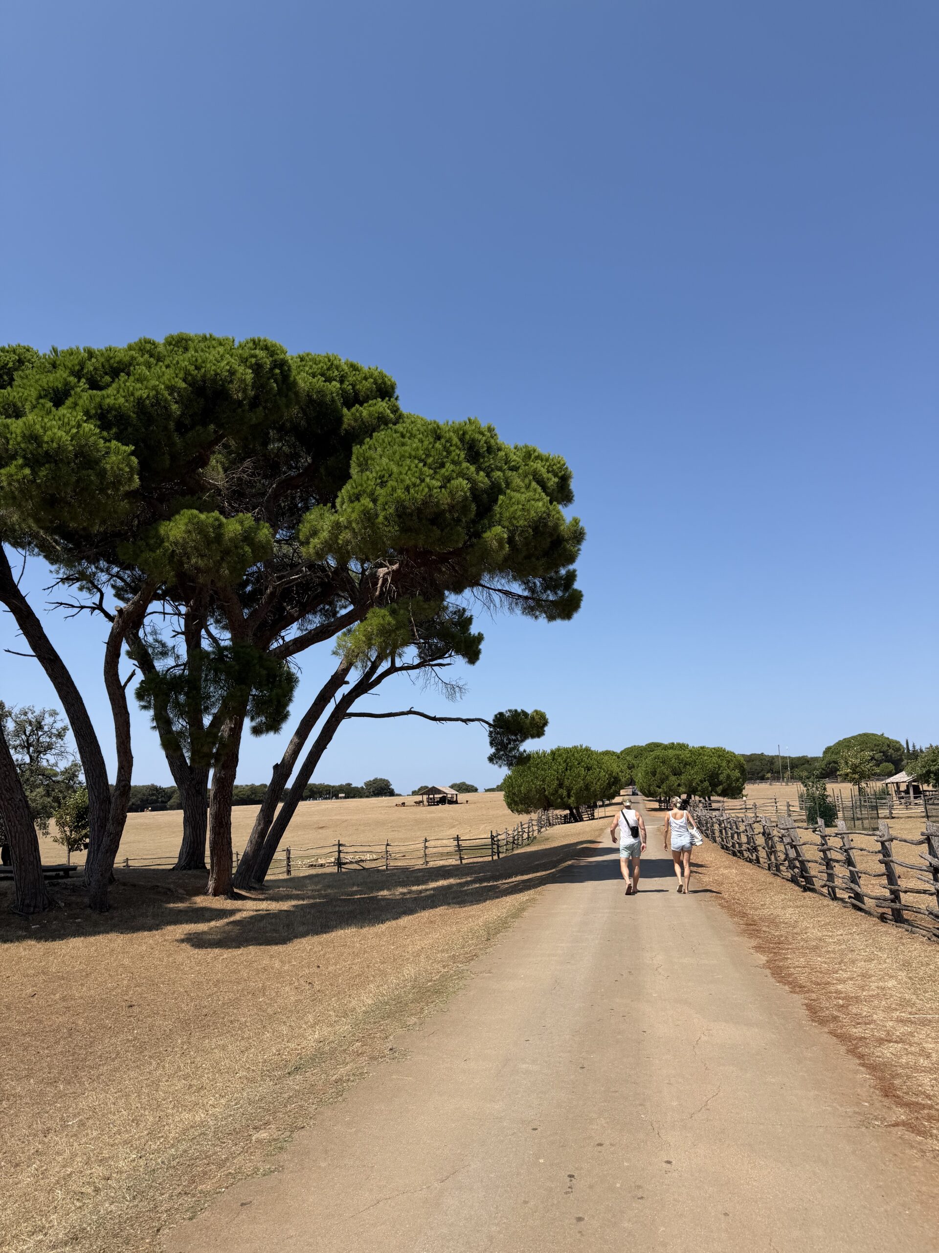 Brijuni island