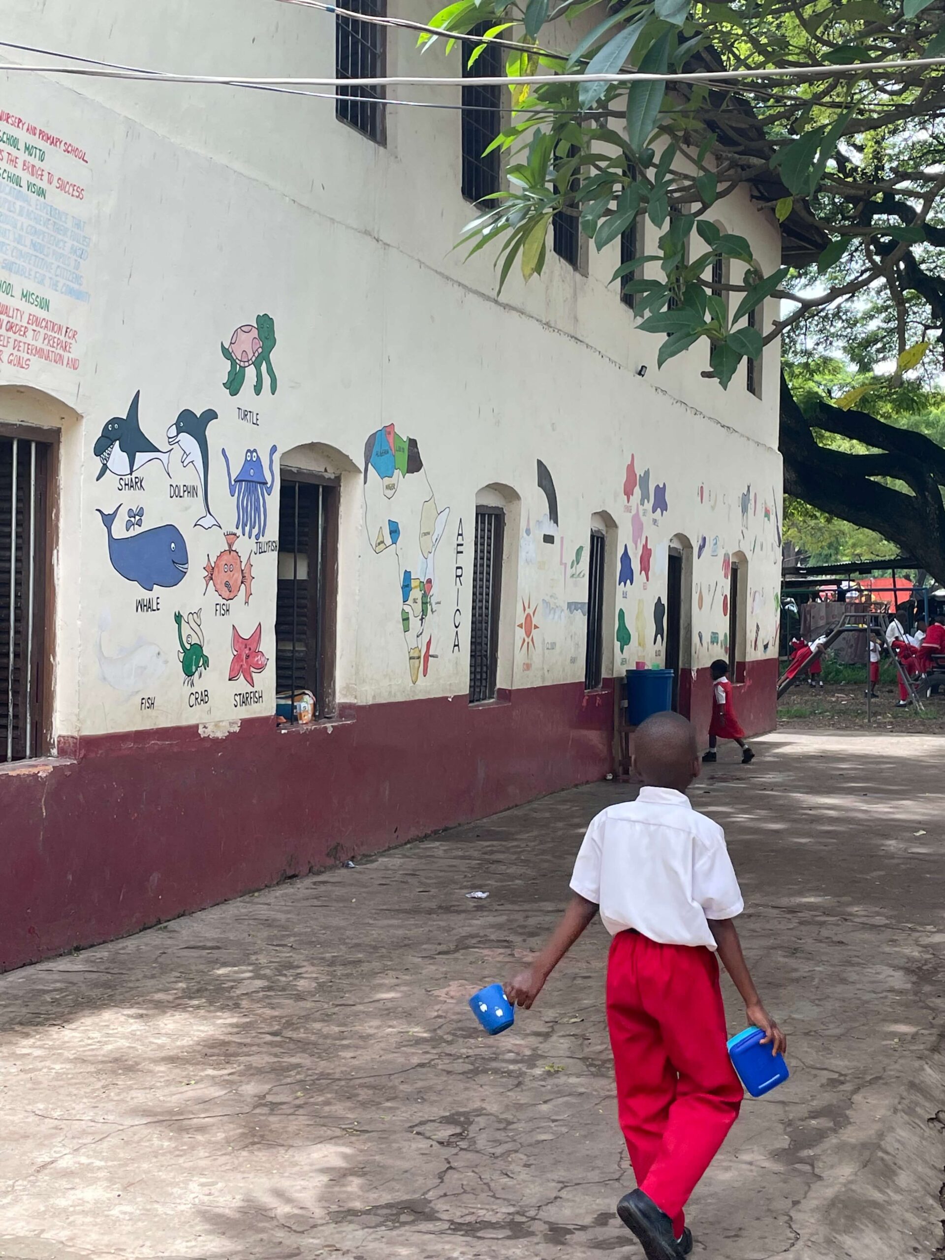 Stone Town school